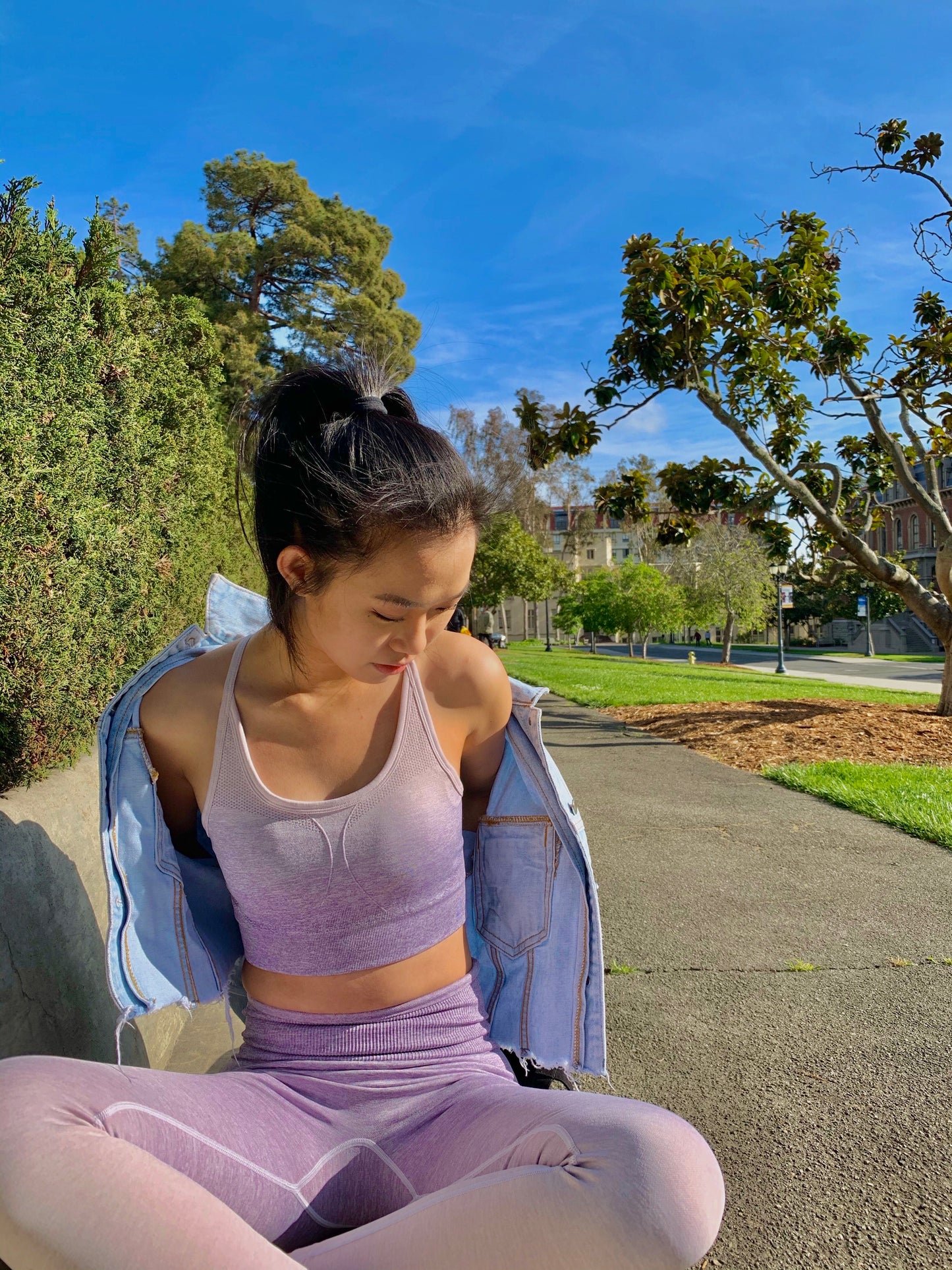 Halo Ombre Seamless Crop Top Sports Bra - Lavender Purple